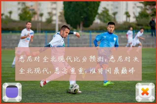 悉尼对全北现代比分预测,悉尼对决全北现代,悬念重重,谁将问鼎巅峰