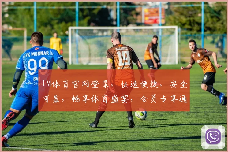 IM体育官网登录，快速便捷，安全可靠，畅享体育盛宴，会员专享通道，登录即享
