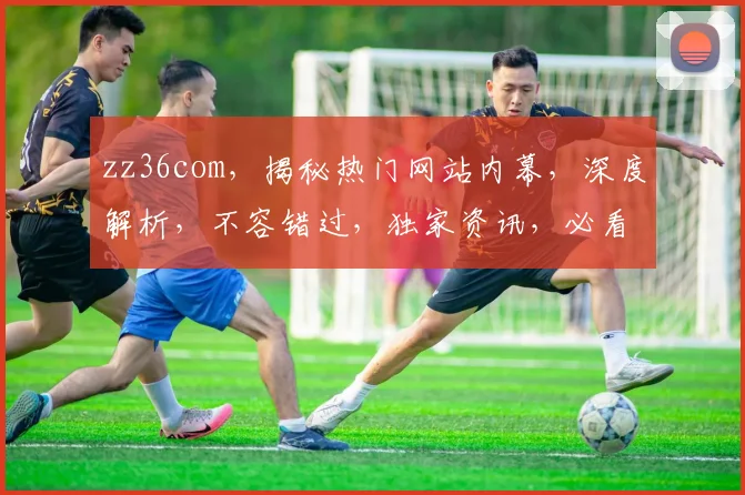 zz36com，揭秘热门网站内幕，深度解析，不容错过，独家资讯，必看